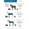 20 x Cennik BEMER® HORSE A4