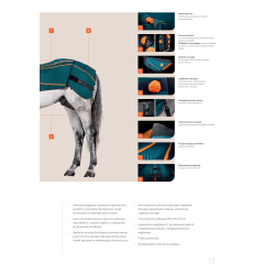 20 x NOWY Katalog BEMER® HORSE A4