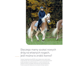 20 x NOWY Katalog BEMER® HORSE A4