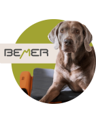 BEMER® DOG (Psy)