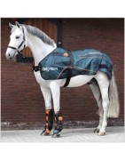 BEMER® HORSE (Konie)